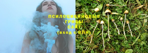 кокс Алзамай